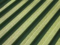 /album/galeria-fotografica/a76-jpg/